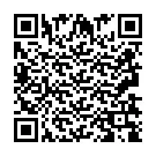 QR kód a telefonszámhoz +2693838851