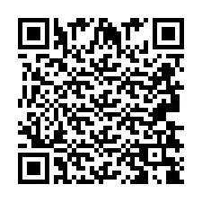 QR Code pour le numéro de téléphone +2693838853