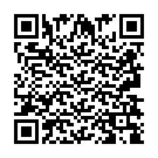 Código QR para número de teléfono +2693838858