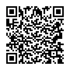 QR Code pour le numéro de téléphone +2693838865