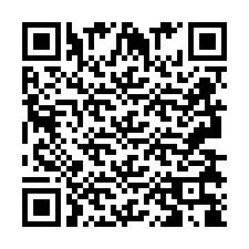 QR-Code für Telefonnummer +2693838889