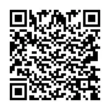 QR kód a telefonszámhoz +2693838894