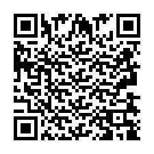 Codice QR per il numero di telefono +2693838900