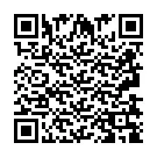 Codice QR per il numero di telefono +2693838940