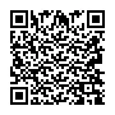 QR-code voor telefoonnummer +2693838976