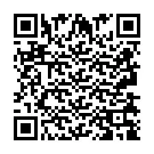 Kod QR dla numeru telefonu +2693838984