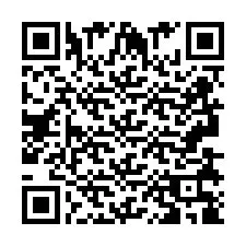 Kod QR dla numeru telefonu +2693838985