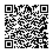 QR код за телефонен номер +2693838995