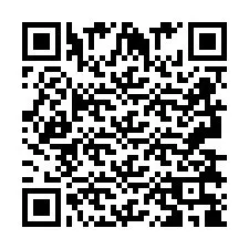 QR код за телефонен номер +2693838999