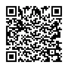 QR-Code für Telefonnummer +2693839014