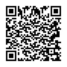 QR Code pour le numéro de téléphone +2693839105