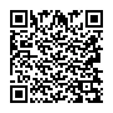 QR-Code für Telefonnummer +2693839116