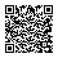 Codice QR per il numero di telefono +2693839146