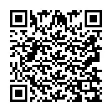 QR-Code für Telefonnummer +2693839161