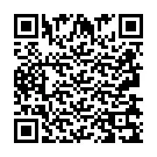 QR Code pour le numéro de téléphone +2693839184