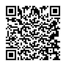 QR Code pour le numéro de téléphone +2693839473