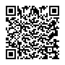 QR-код для номера телефона +2693839511