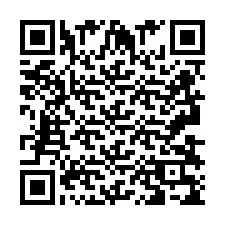 QR-код для номера телефона +2693839531