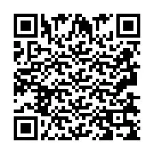 Codice QR per il numero di telefono +2693839591