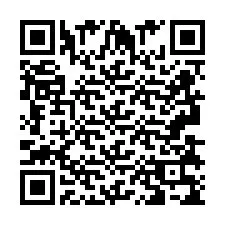 Codice QR per il numero di telefono +2693839595