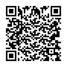 QR Code pour le numéro de téléphone +2693839813