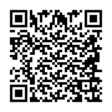 QR Code pour le numéro de téléphone +2694616199