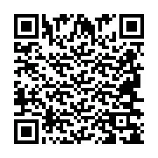 QR Code for Phone number +2694638133