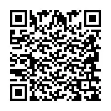 QR Code pour le numéro de téléphone +2694638158