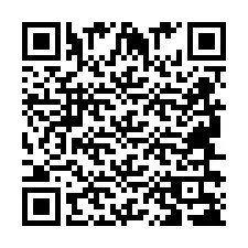 QR-Code für Telefonnummer +2694638313