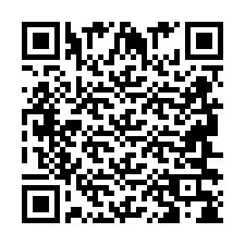 QR Code pour le numéro de téléphone +2694638435