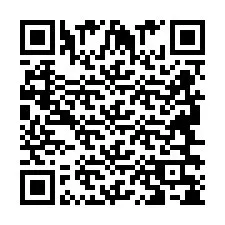 QR Code pour le numéro de téléphone +2694638522