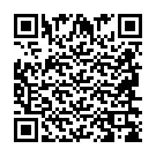 QR Code pour le numéro de téléphone +2694638619