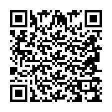 QR Code pour le numéro de téléphone +2694719029