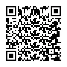 QR Code for Phone number +2694738751