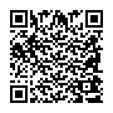 QR Code pour le numéro de téléphone +2698041343