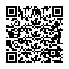 Codice QR per il numero di telefono +2698047304