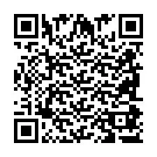 QR код за телефонен номер +2698087303