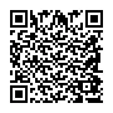 QR-Code für Telefonnummer +2698087369