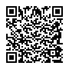 QR код за телефонен номер +2698087390