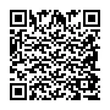 QR код за телефонен номер +2698087766