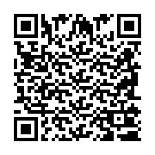 QR Code for Phone number +2698100358