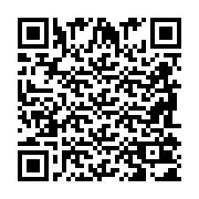 QR код за телефонен номер +2698101065