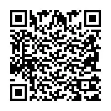 QR-code voor telefoonnummer +2698101103