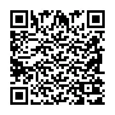 QR-Code für Telefonnummer +2698101169