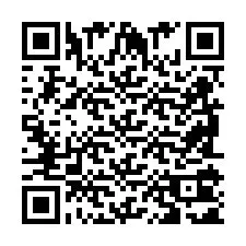 QR-код для номера телефона +2698101189