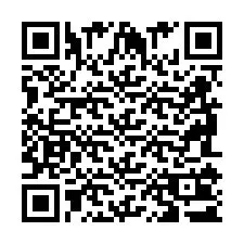 QR Code pour le numéro de téléphone +2698101340