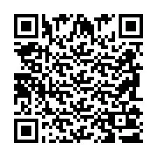 QR Code pour le numéro de téléphone +2698101351