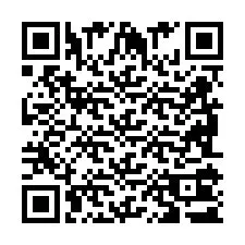 QR-code voor telefoonnummer +2698101382