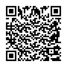 QR-code voor telefoonnummer +2698101387