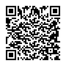 QR-code voor telefoonnummer +2698101873